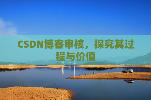 CSDN博客审核，探究其过程与价值